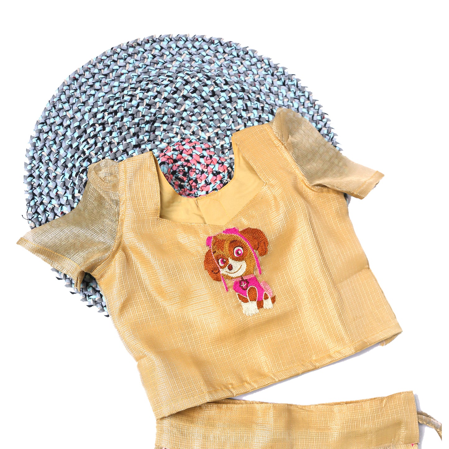 PAW PATROL-SKYE Hand Embroidery Tissue Banarasi Langa/Lehenga(Pre Booking)