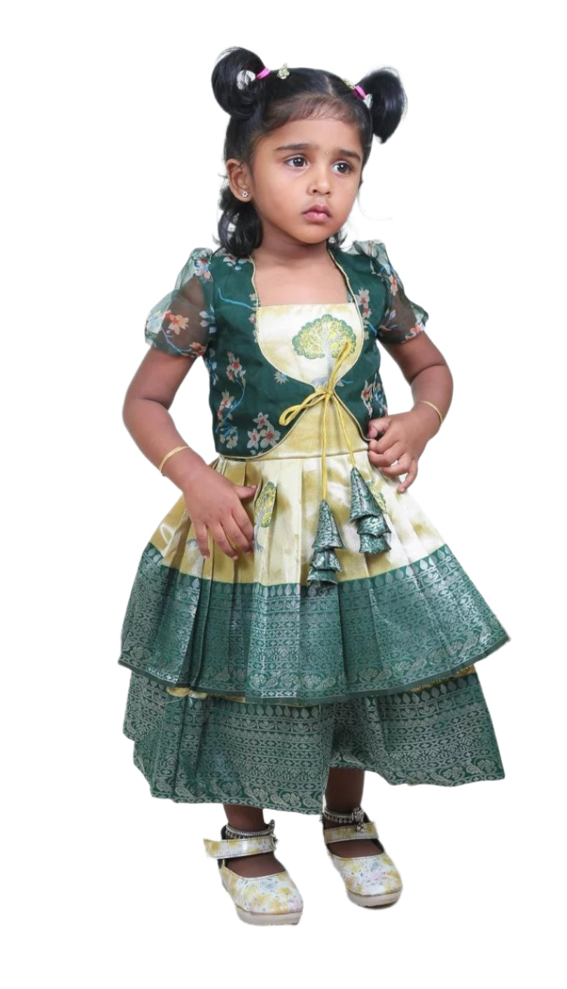 Layered Frock With Green Organza Overcoat(Ready To Dispatch)